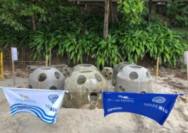 artificial reef project